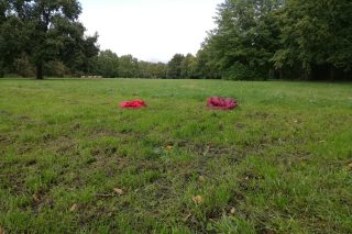 Eine Wiese zum Fußballspielen